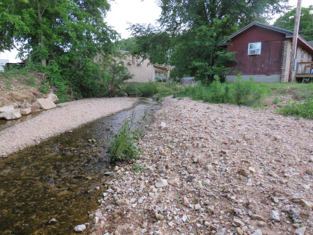 Ellington MO fish in small creeky thing