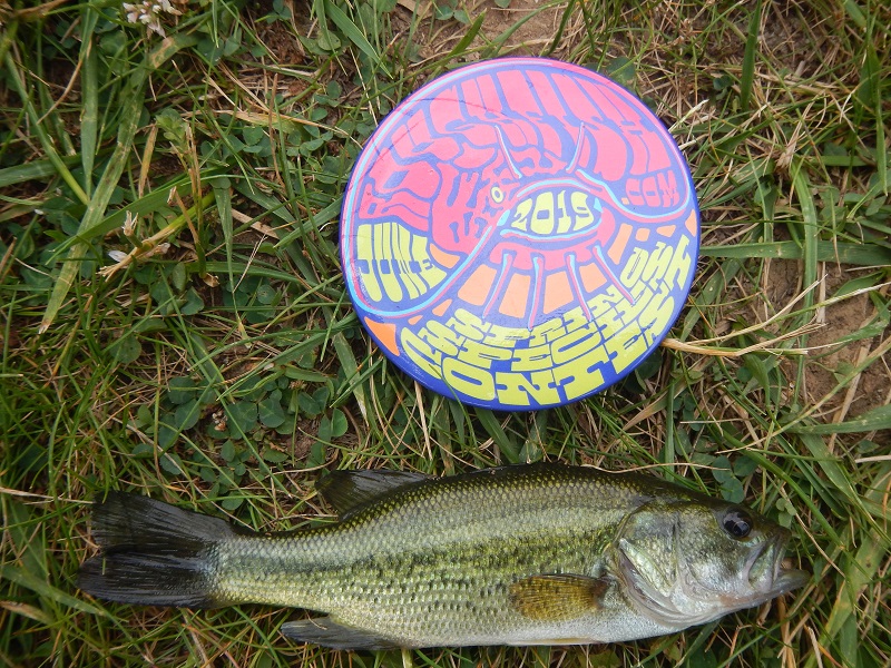 Bass, Largemouth