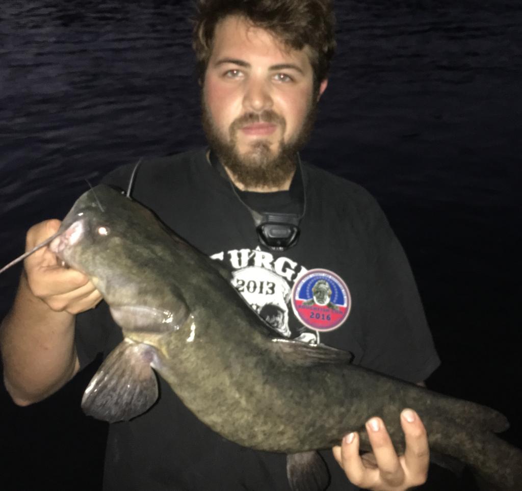 Catfish, Flathead