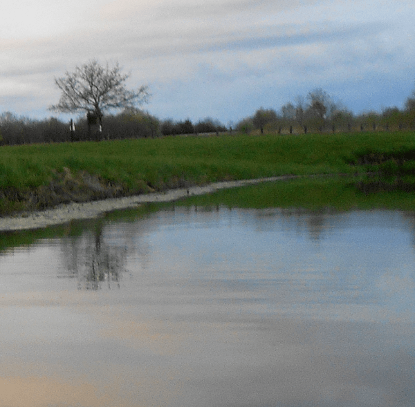 Trophy Bullhead Waters of Minnesota