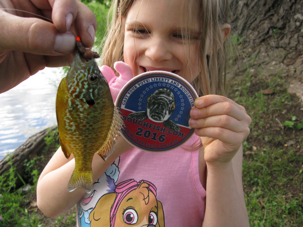 Sunfish, Pumpkinseed
