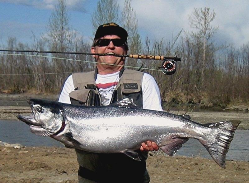 Salmon, Chinook DocEsox