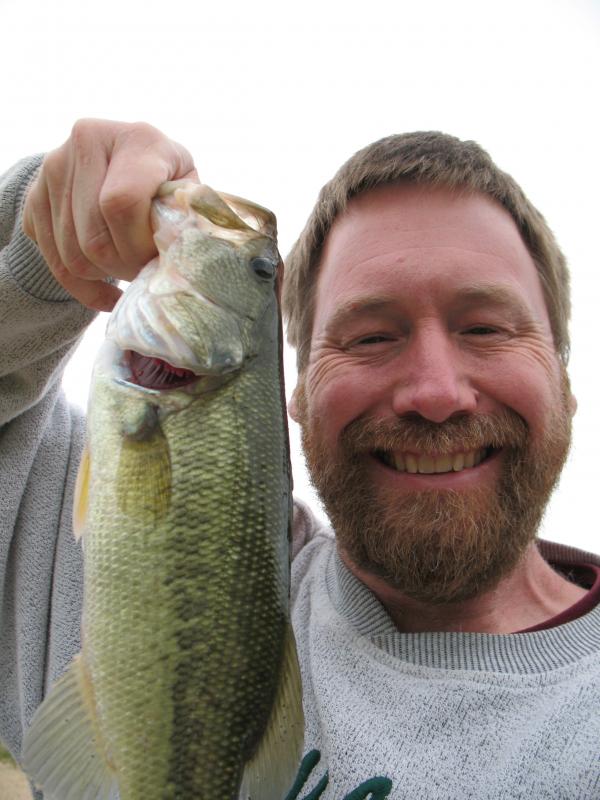 Bass, Largemouth catfish_1