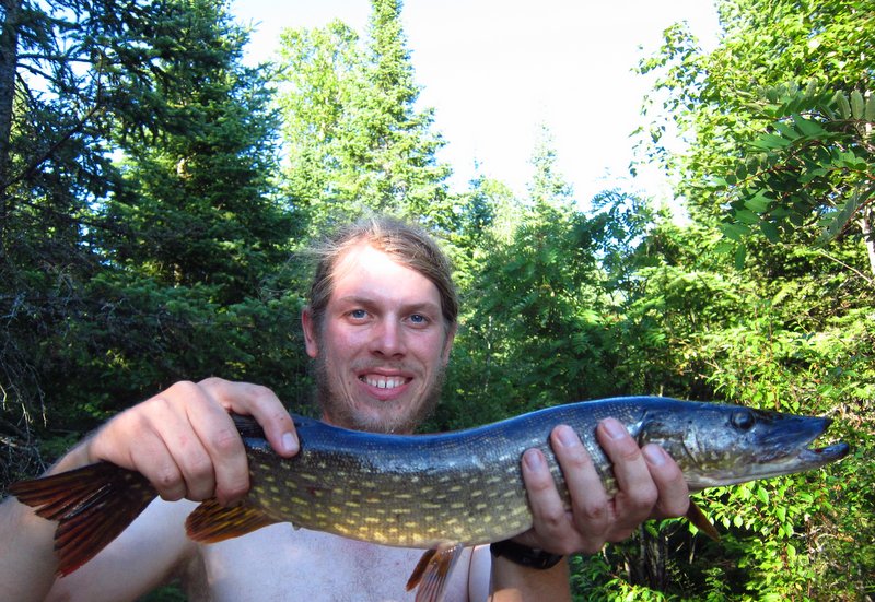 Pike, Northern eanoszko