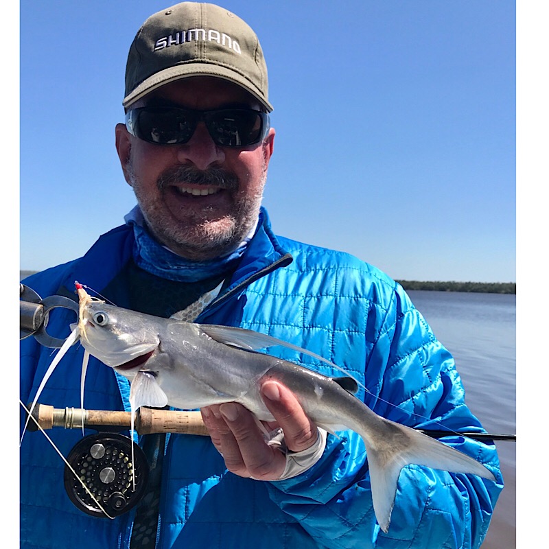 Catfish, Gafftopsail R L White