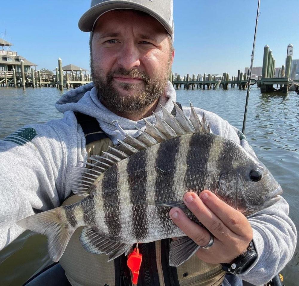 Sheepshead Thelucasboysoutdoors