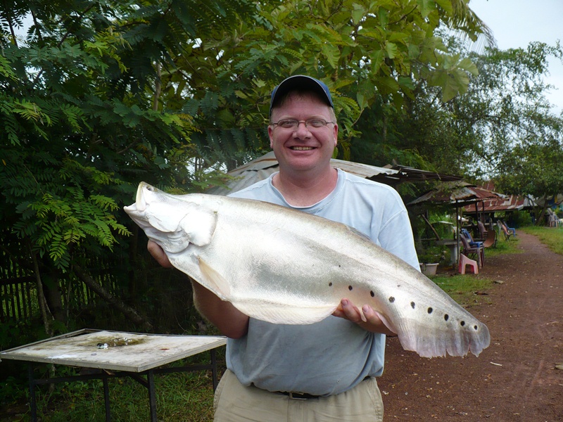 Knife Fish, Spotted Cast_and_Blast