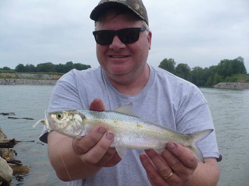 Herring, Skipjack Cast_and_Blast