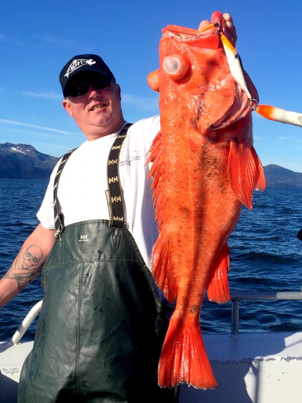 Rockfish, Shortraker JediMasterSalmonSlayer