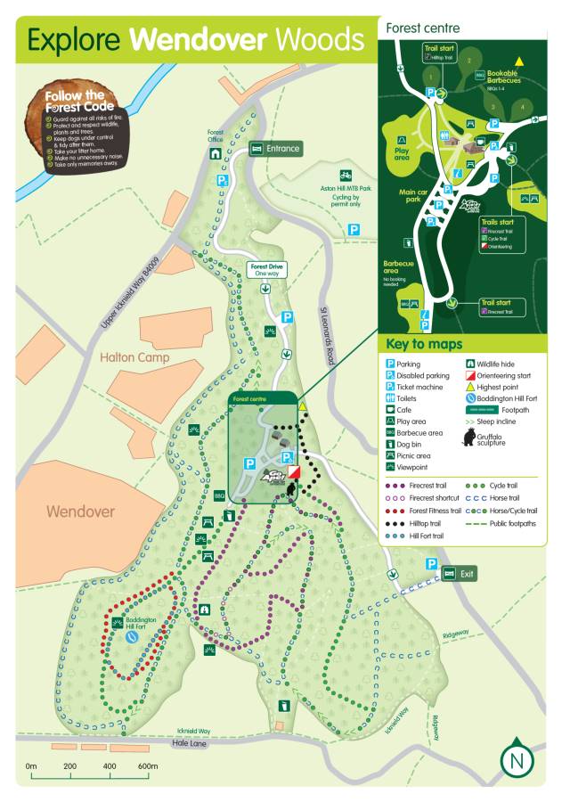 Wendover Woods is a great place to take the family, with lots of walks
