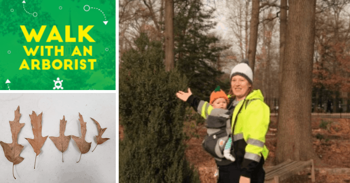 Umd Duluth Academic Calendar 2023