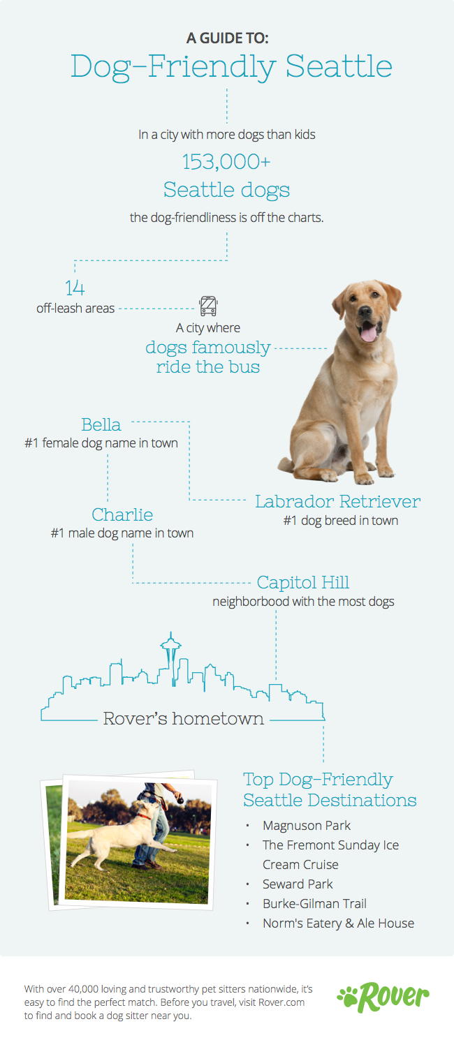 The Ultimate Guide for Seattle Dogs The Dog People by