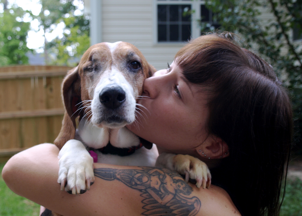 Pet Birth Defect Awareness Pets Living Life with Birth Defects