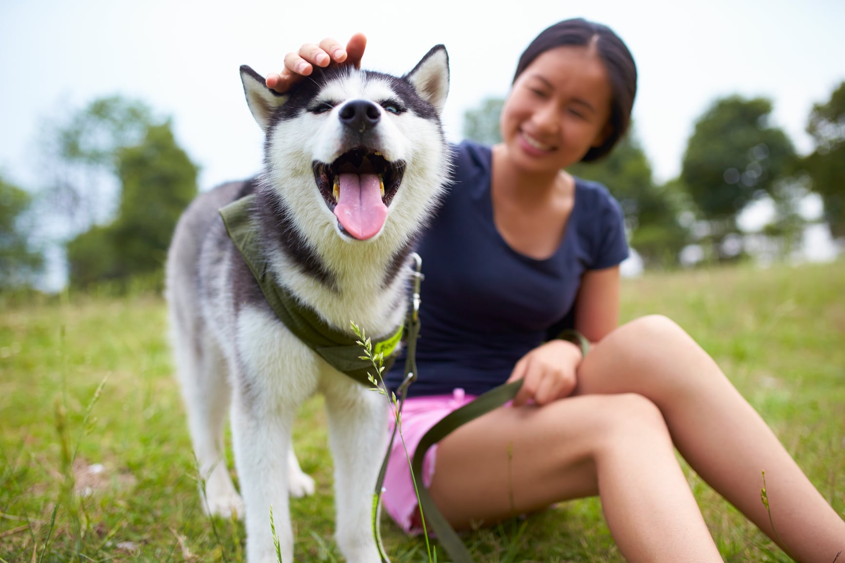 New Dog Bonding 8 Ways to Build a Wonderful Relationship