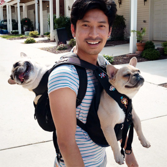 Dog Carriers 8 Baby Bjørns That'll Brighten Your Day