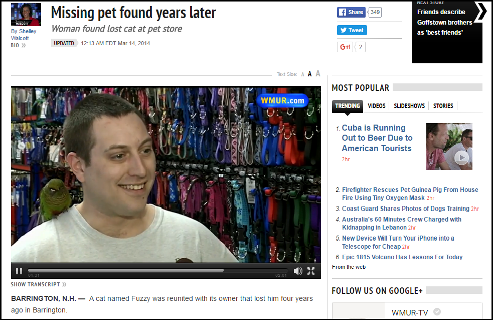 Pet Shops & Positive Media Attention It Could Happen to You!