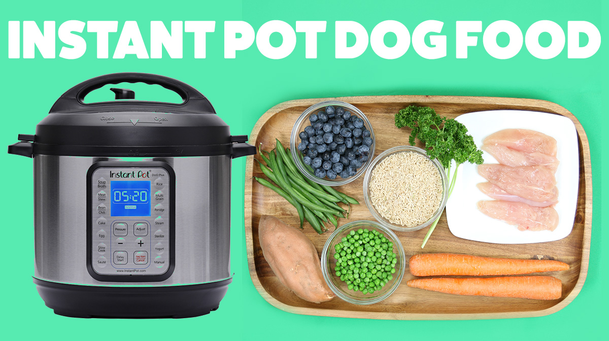 Slow Cooker Dog Food Vet Approved