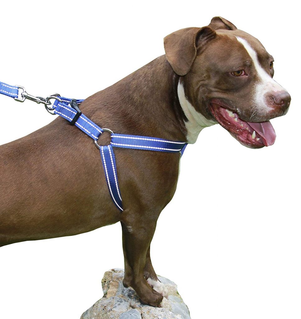 No Pull Dog Harness Best No Pull Dog Harnesses That Work