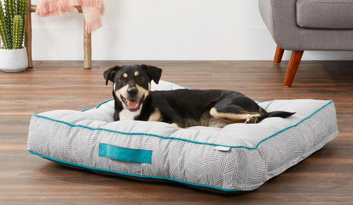 We know exactly how you feel: Cheap Dog Beds 15 Beds That Won T Break The Bank