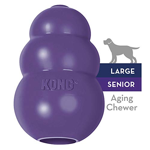 We Reviewed the 6 Best KONG Dog Toys for 2019 Dogs Academies