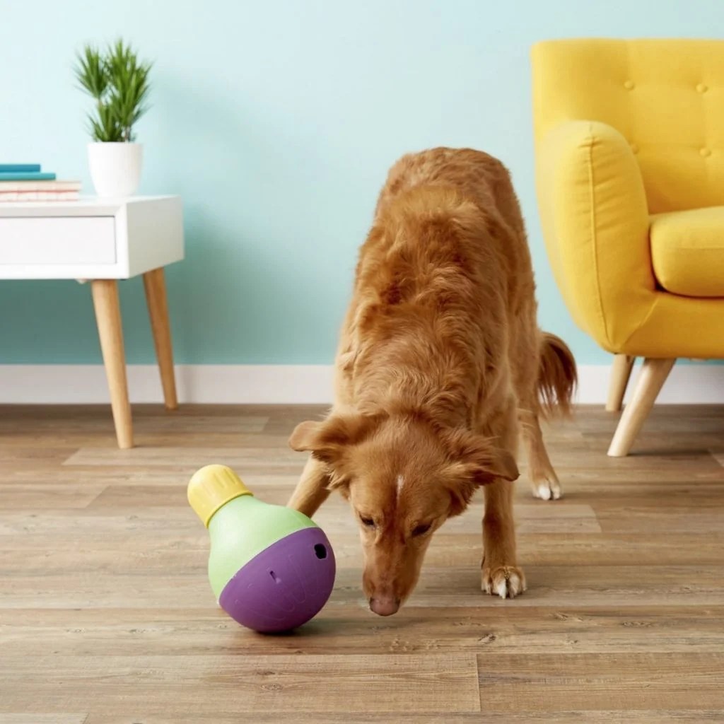 Toys to Keep Dogs Busy Tips and Tricks to Busy Your HomeAlone Dogs
