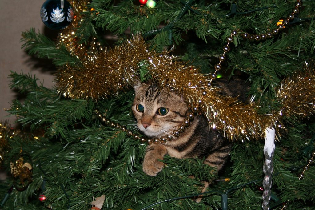 Cat Proof Your Christmas Tree 11 Tips from the Experts