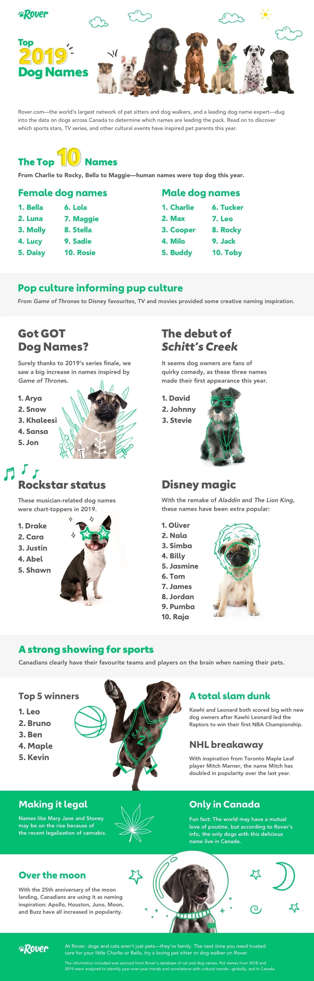 Canada's Top Dog Names of 2019 The Dog People by