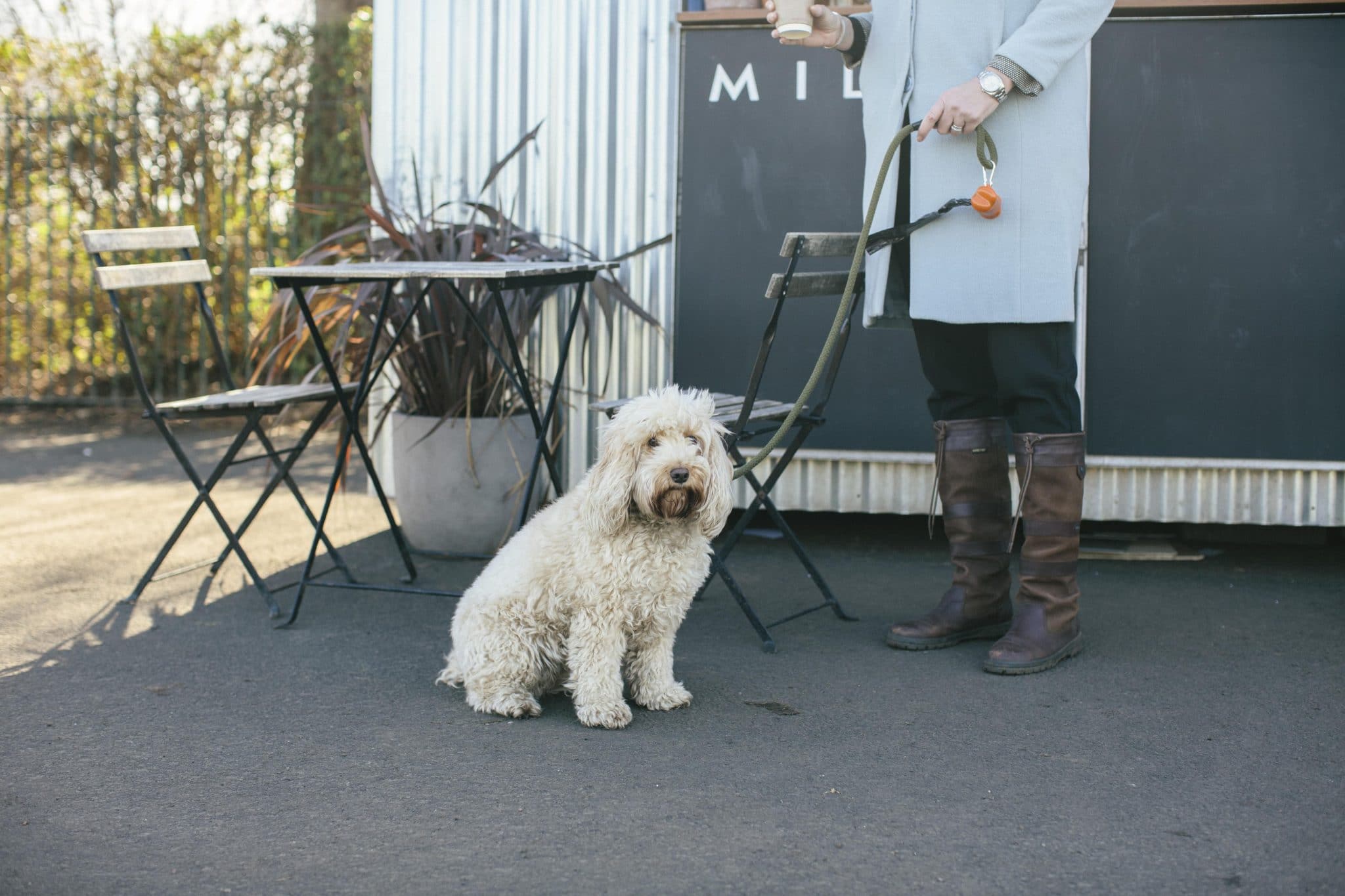 Top 10 DogFriendly Cafes in Edinburgh The Dog People by