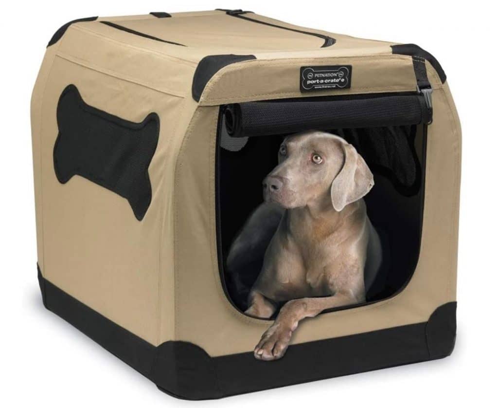 The Best Dog Crates for MediumSized Dogs for 2020