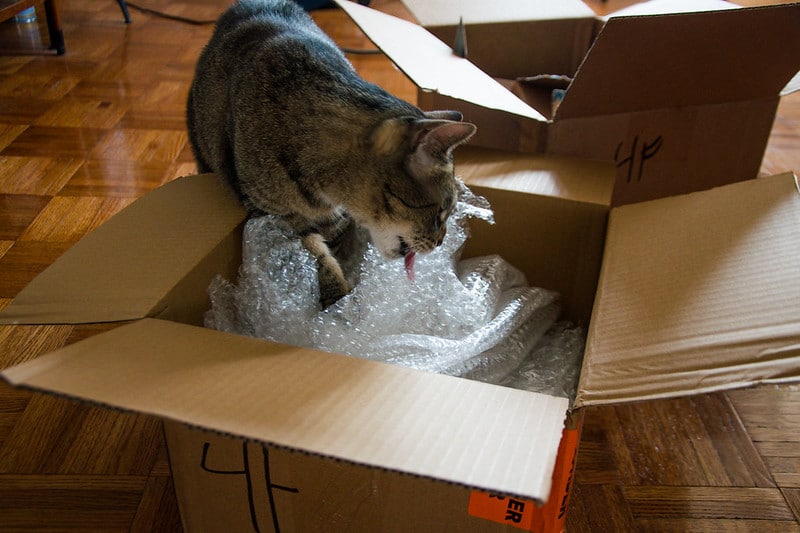 Why Do Cats Lick Plastic Bags?