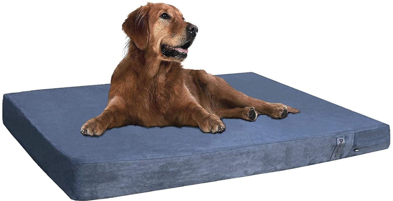 Got A Wet Dog? Discover The 10 Best Water Resistant Dog Beds