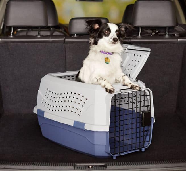 Your Guide Choosing a Small Dog Crate 6 Top Six Small Dog Crate Picks