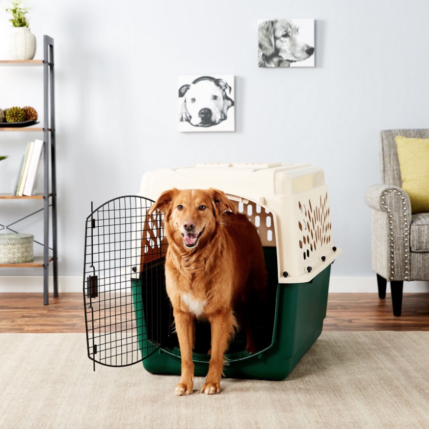 How Big Of A Travel Crate Does My Dog Need