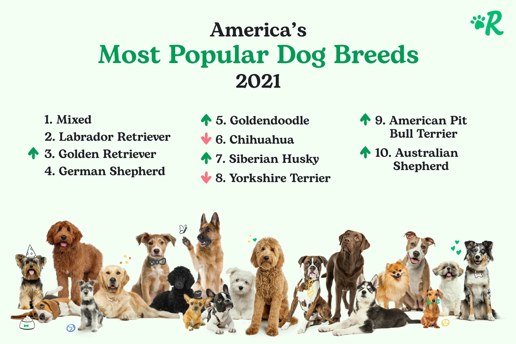 Rover Announces America's Most Popular Dog Breeds Of 2021 | The Dog People By Rover.com