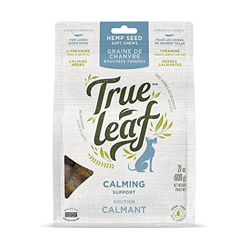 The 7 Best Calming Dog Treats for Your AnxietyManagement Toolkit