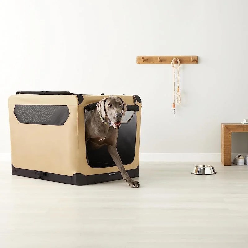 The 8 Best Collapsible Dog Crates for Pups of All Sizes