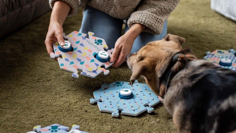 The 5 Best Dog Talking Buttons To Teach Your Dog To Talk