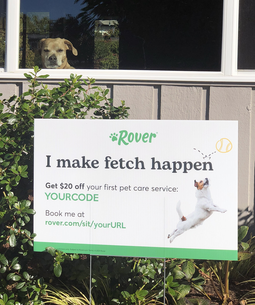 Is Rover Com Only For Dogs