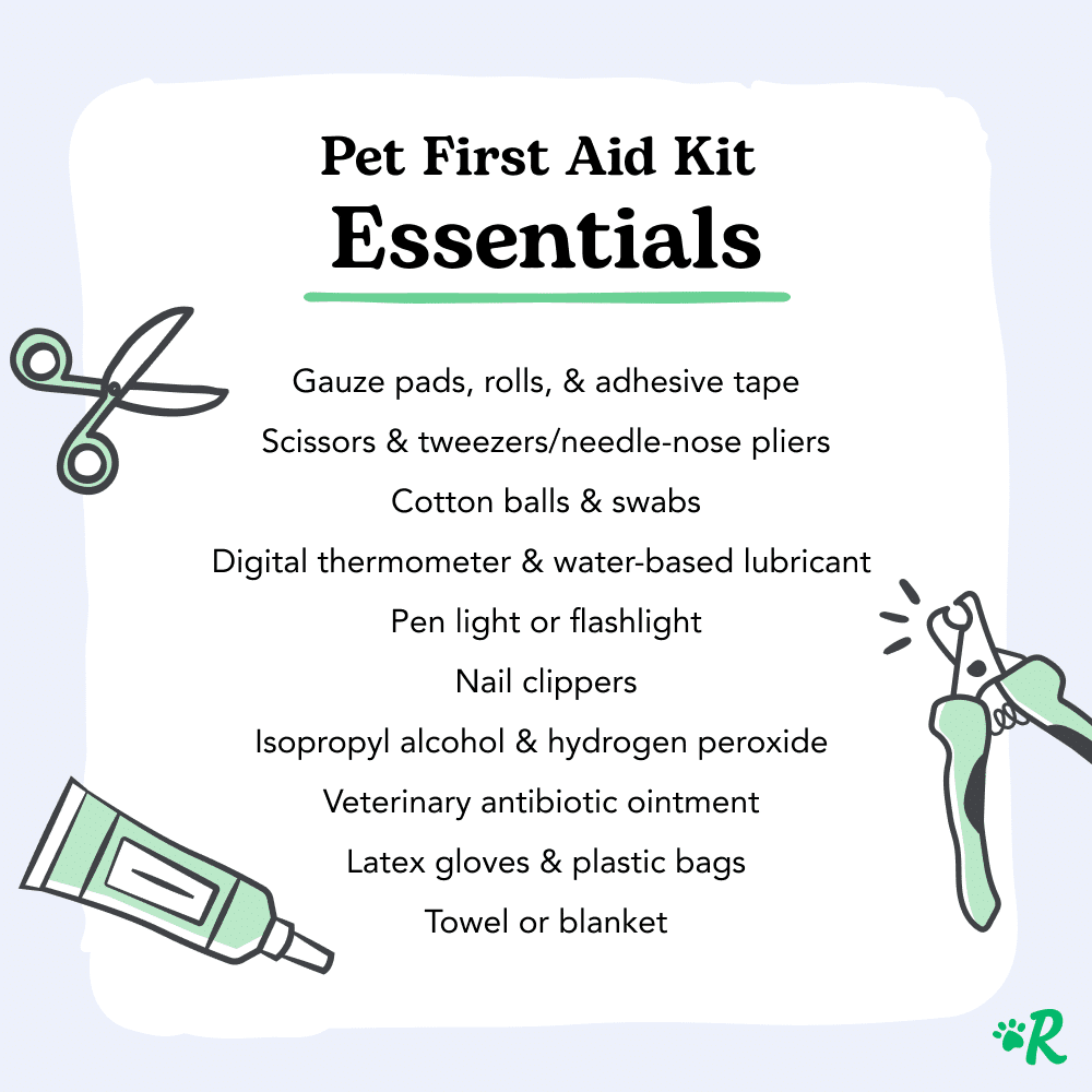 What to Do When Your Dog or Cat Eats Something They Shouldn't