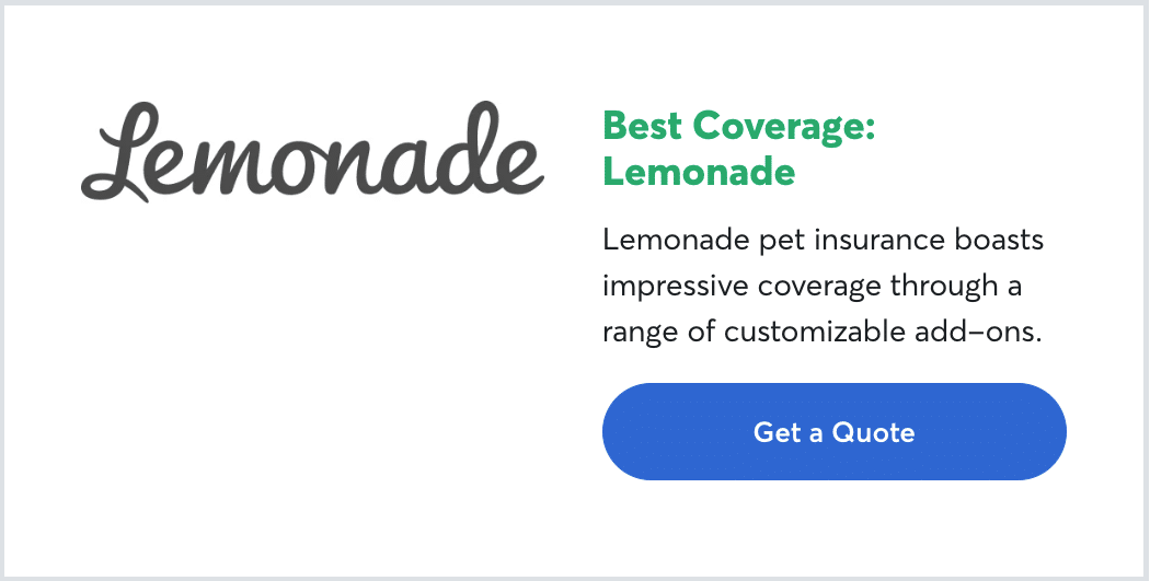 When Should You Get Pet Insurance?