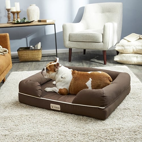 The Best Shih Tzu Dog Beds for Your Royal Pup