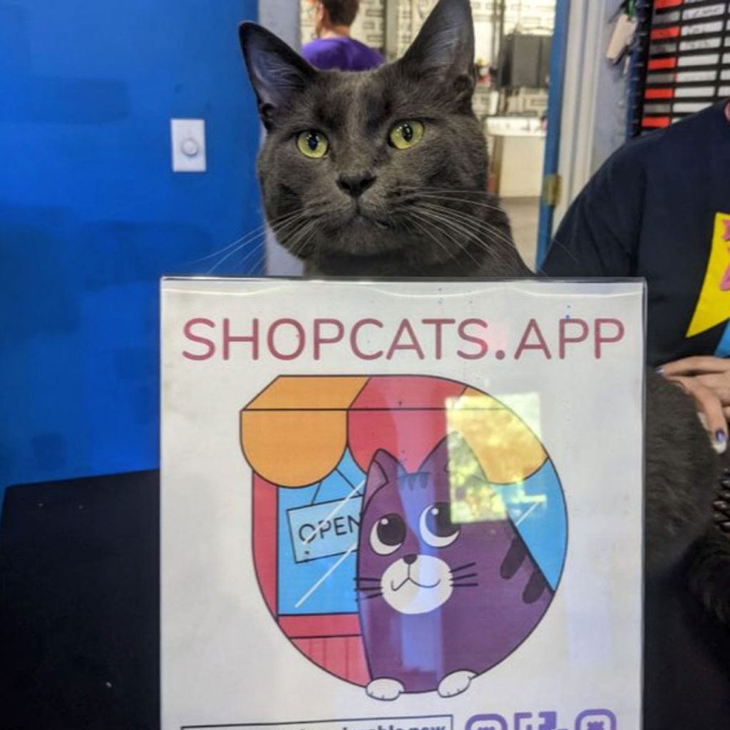 New App Helps You Find Cute Shop Cats Around the World