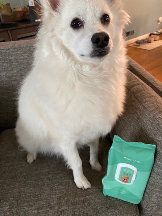 The 12 Best Dog Wipes for Paws, Eyes, Ears, and More