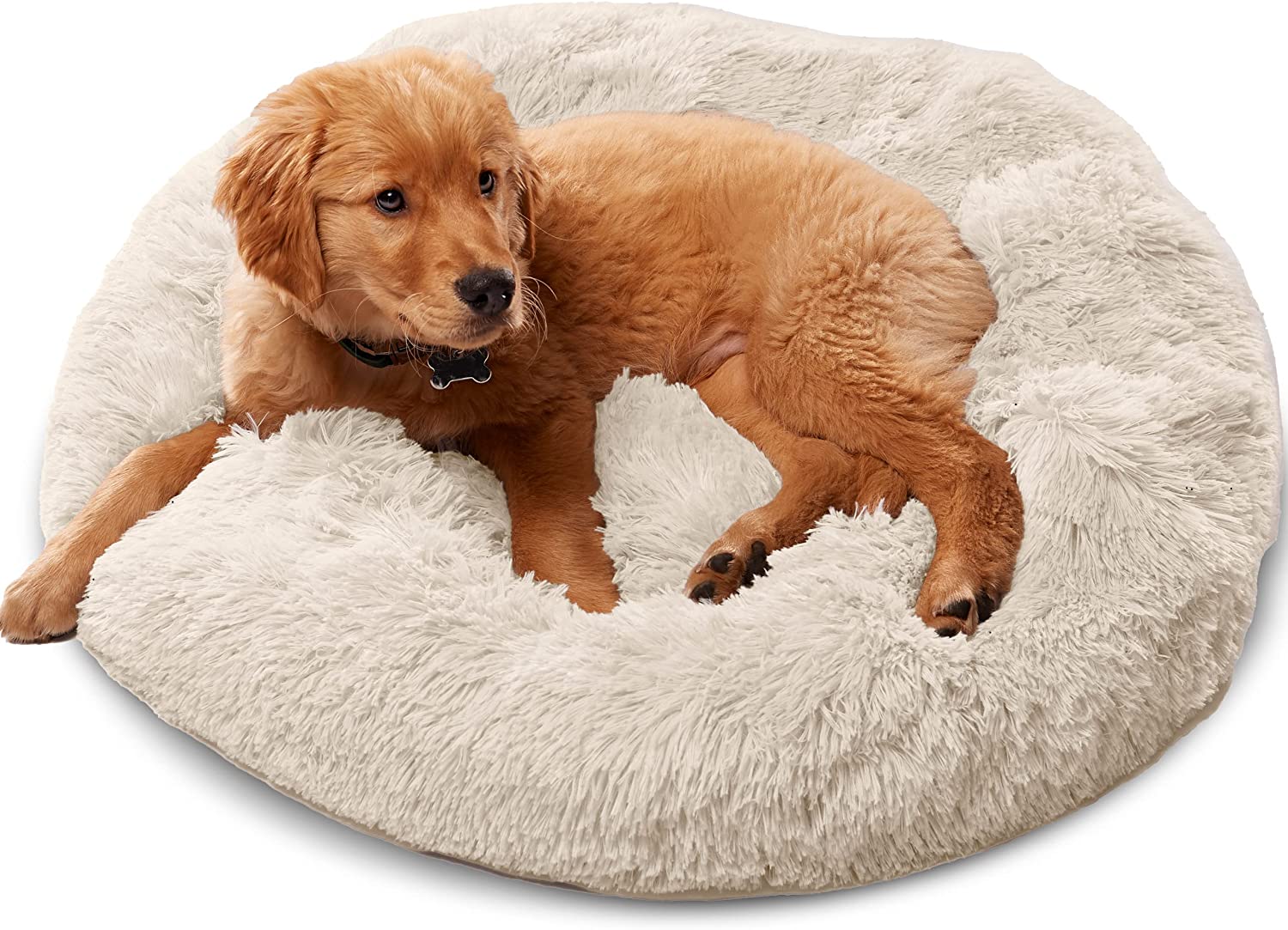 The 9 Best Calming Beds for Anxious Dogs