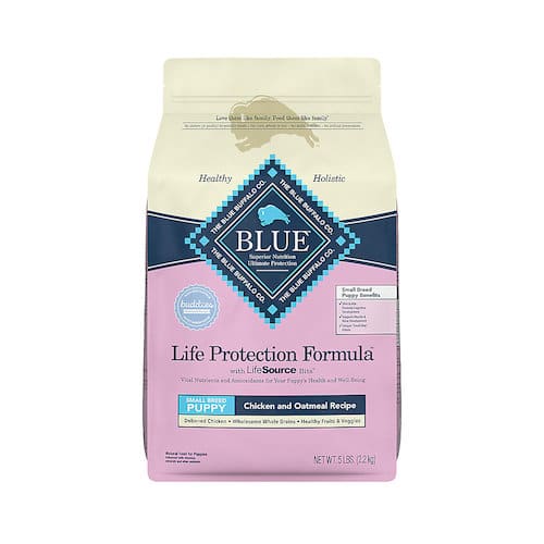 The 11 Best Dry Foods for Puppies of All Shapes and Sizes