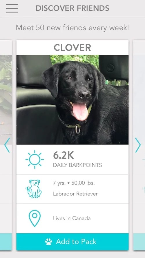 Review FitBark Dog Activity Tracker Offers Strong Nontraditional Tracking