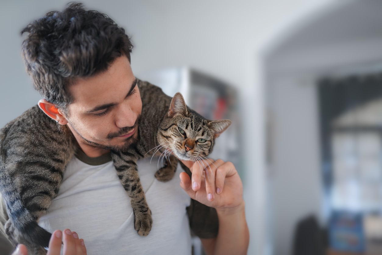 5 Steps to Hold a Cat Safely & Wrong Ways to Hold a Cat