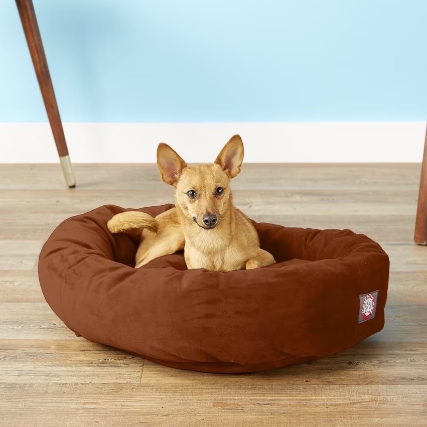 The 9 Best Indestructible Dog Beds for Chewers, Diggers, and Shredders
