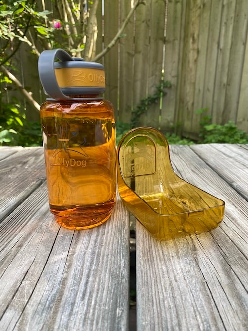 Rover Pups Test the Malsipree, OllyDog, and Gulpy Dog Water Bottles