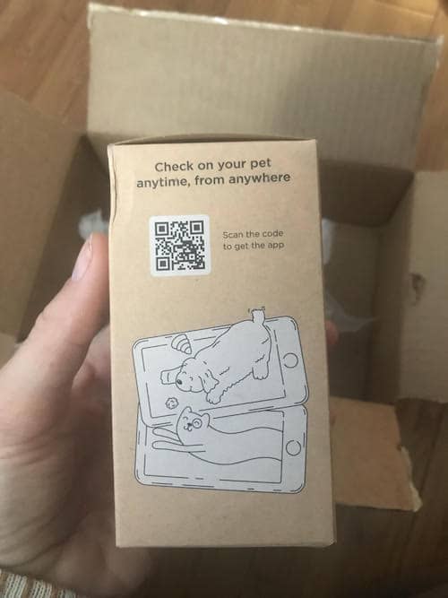 Rover Test Pup Reviews the BudgetFriendly Petcube Cam